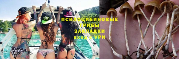 мяу мяу кристалл Медвежьегорск